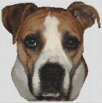 (image for) American Bulldog 2
